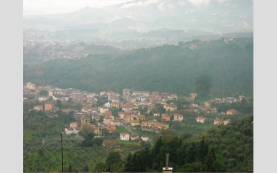 Image Description