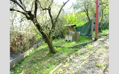 Image Description