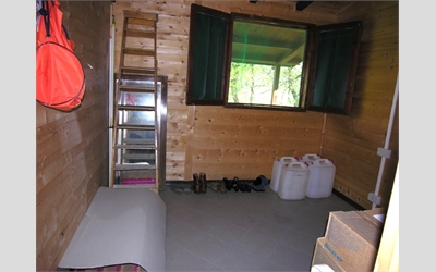 Image Description