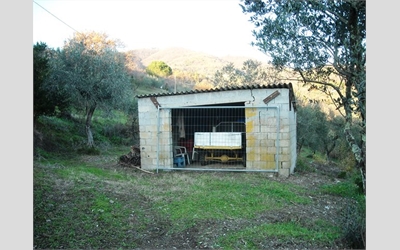 Image Description