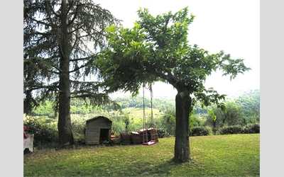 Image Description
