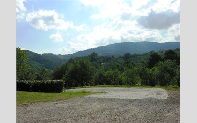 Image Description