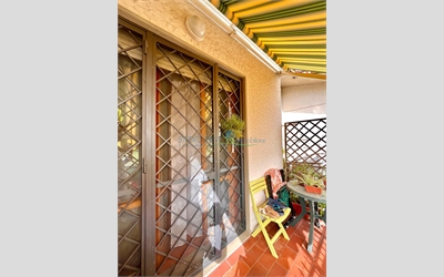 Image Description